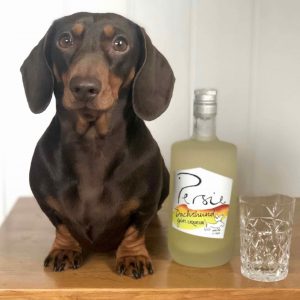 Dachshund Gin Liqueur