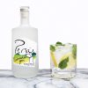 Labrador small G&T