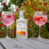 Lifestyle Zesty-6502