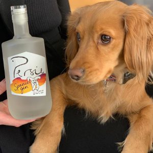 Spaniel Gin