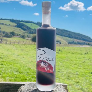 Sloe & Plum Gin