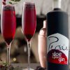 Sloegasm 1